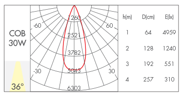 36°
